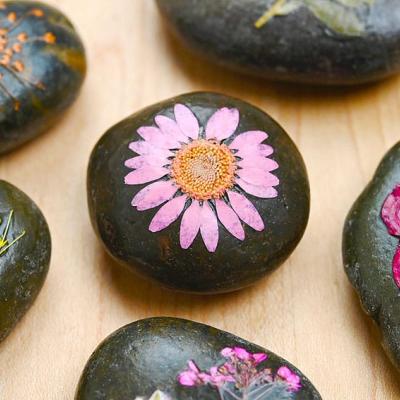 Stones
